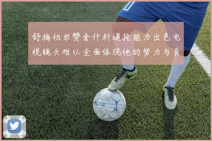 舒梅切尔赞舍什科逼抢能力出色电视镜头难以全面体现他的努力与贡献