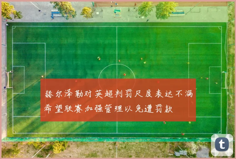 赫尔泽勒对英超判罚尺度表达不满希望联赛加强管理以免遭罚款